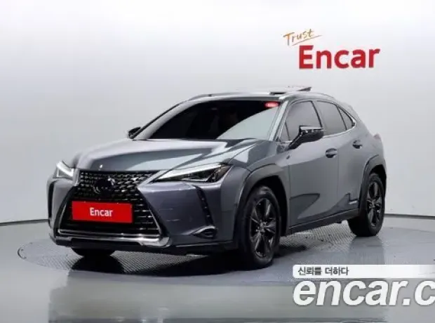 Lexus UX250h, 2020