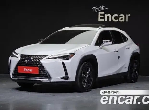 Lexus UX250h, 2020