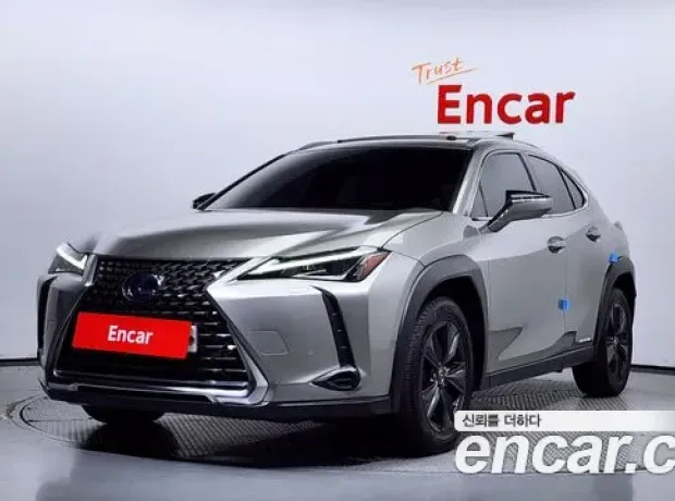 Lexus UX250h, 2020