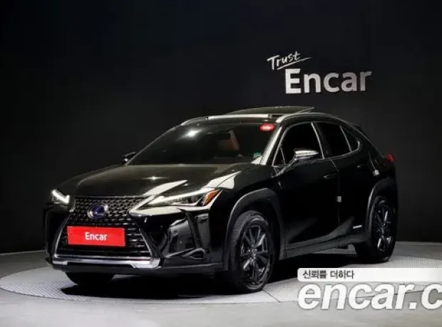 Lexus UX250h, 2021