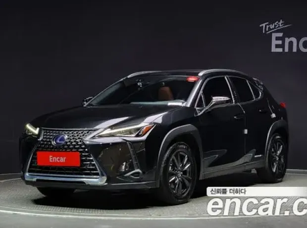 Lexus UX250h, 2021