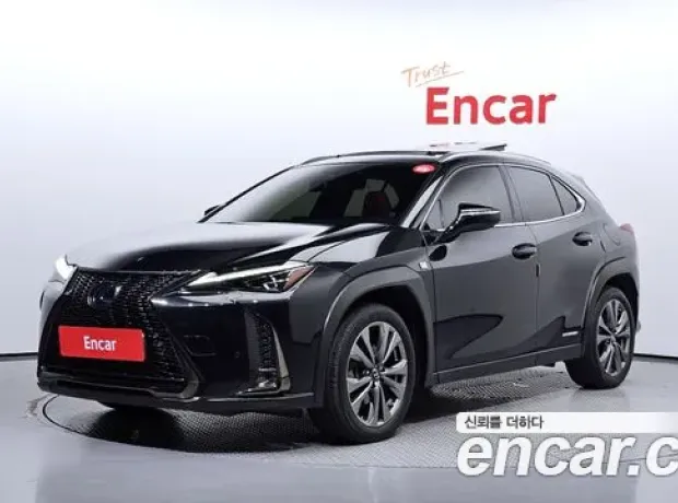 Lexus UX250h, 2021