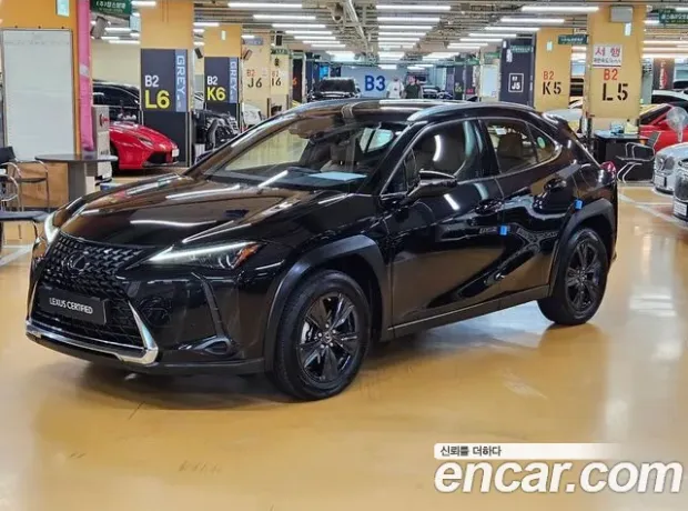 Lexus UX250h, 2023