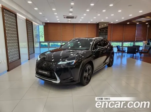 Lexus UX250h, 2023