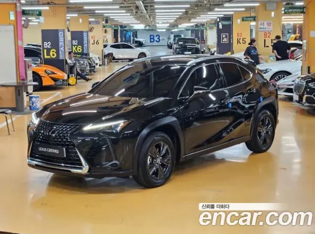 Lexus UX250h, 2023