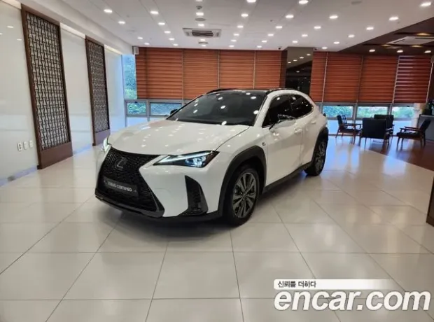 Lexus UX250h, 2024